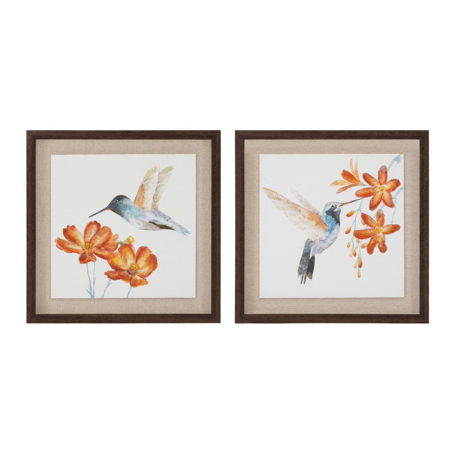 Framed Hummingbird Print (2 Asst) 12"SQ MDF/Canvas/Plastic