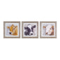 Framed Cow Print (3 Asst) 10"H Wood/Glass