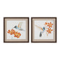 Framed Hummingbird Print (2 Asst) 12"SQ MDF/Canvas/Plastic